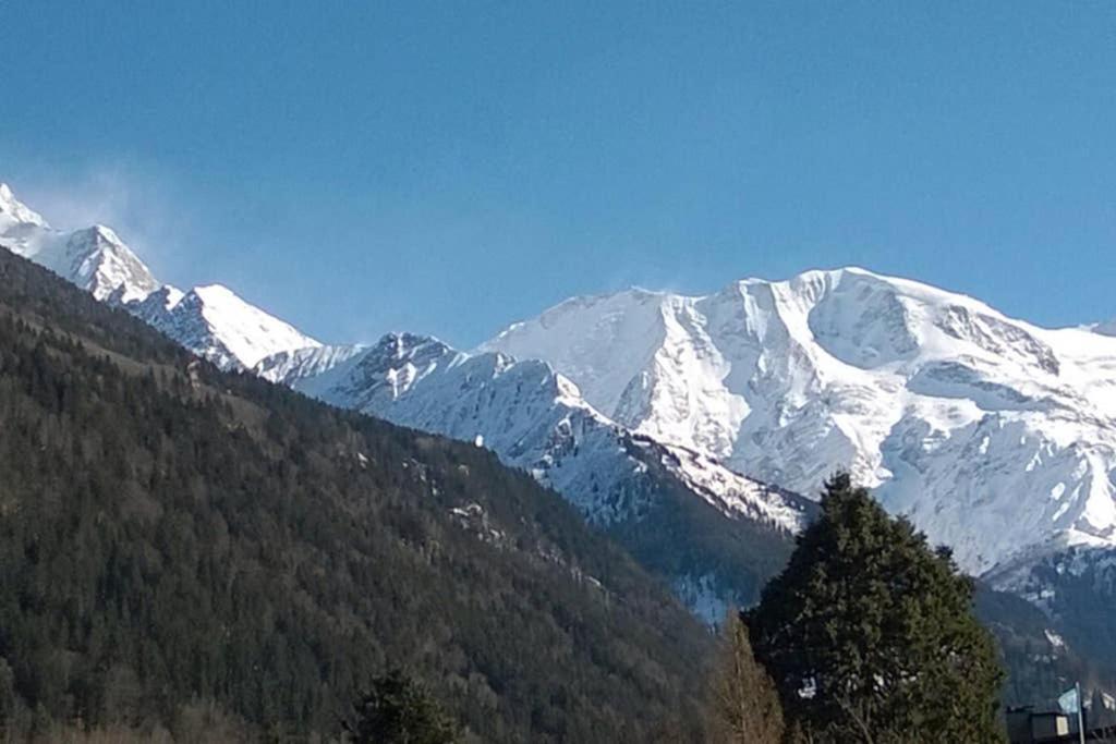 Appartement Spacieux Proche Des Telecabines Et Du Centre Ville Avec Jardin Prive Saint-Gervais-les-Bains Εξωτερικό φωτογραφία